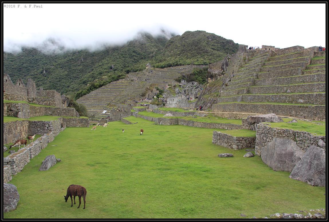 Central Plaza