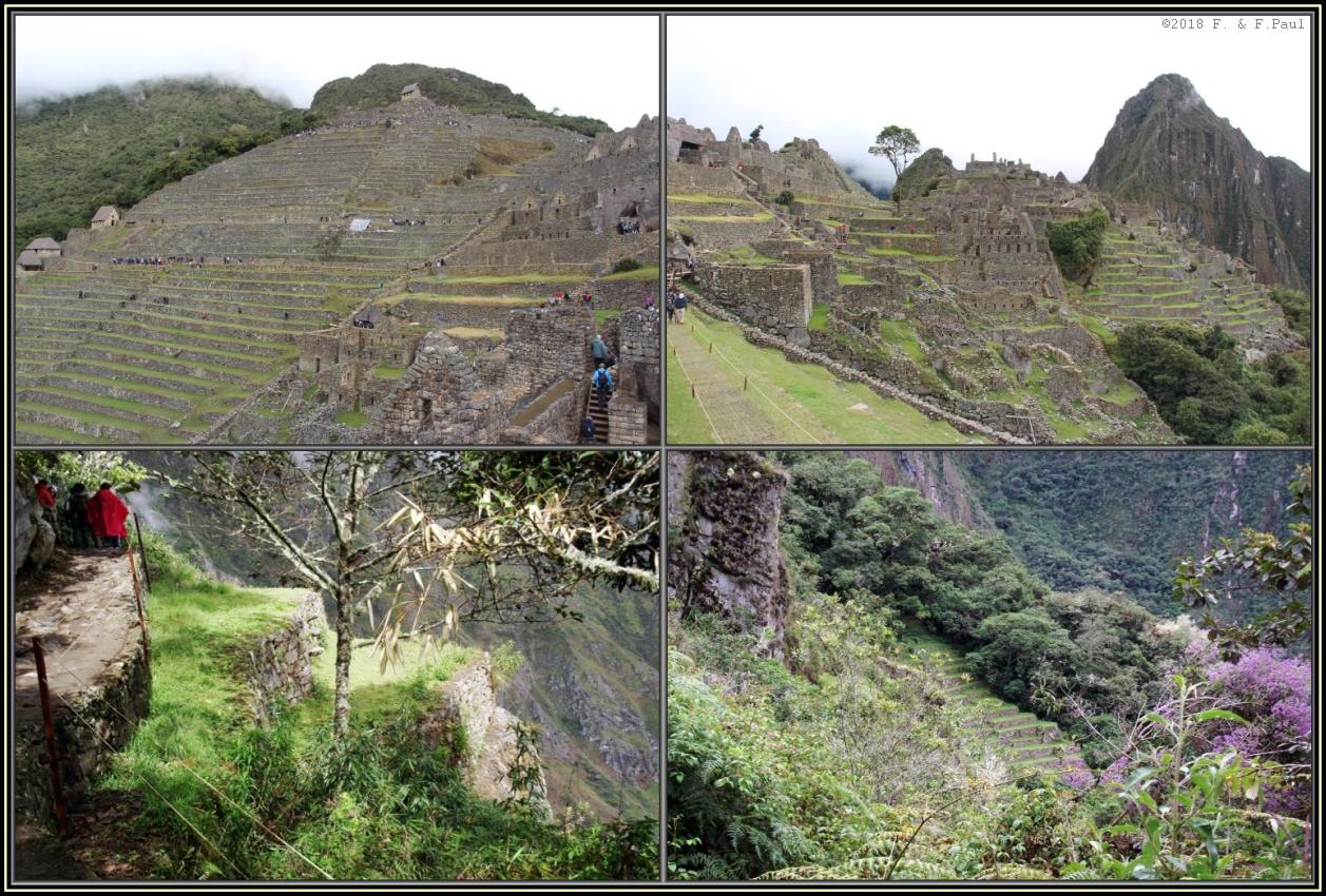 Ackerbau in Machu Picchu