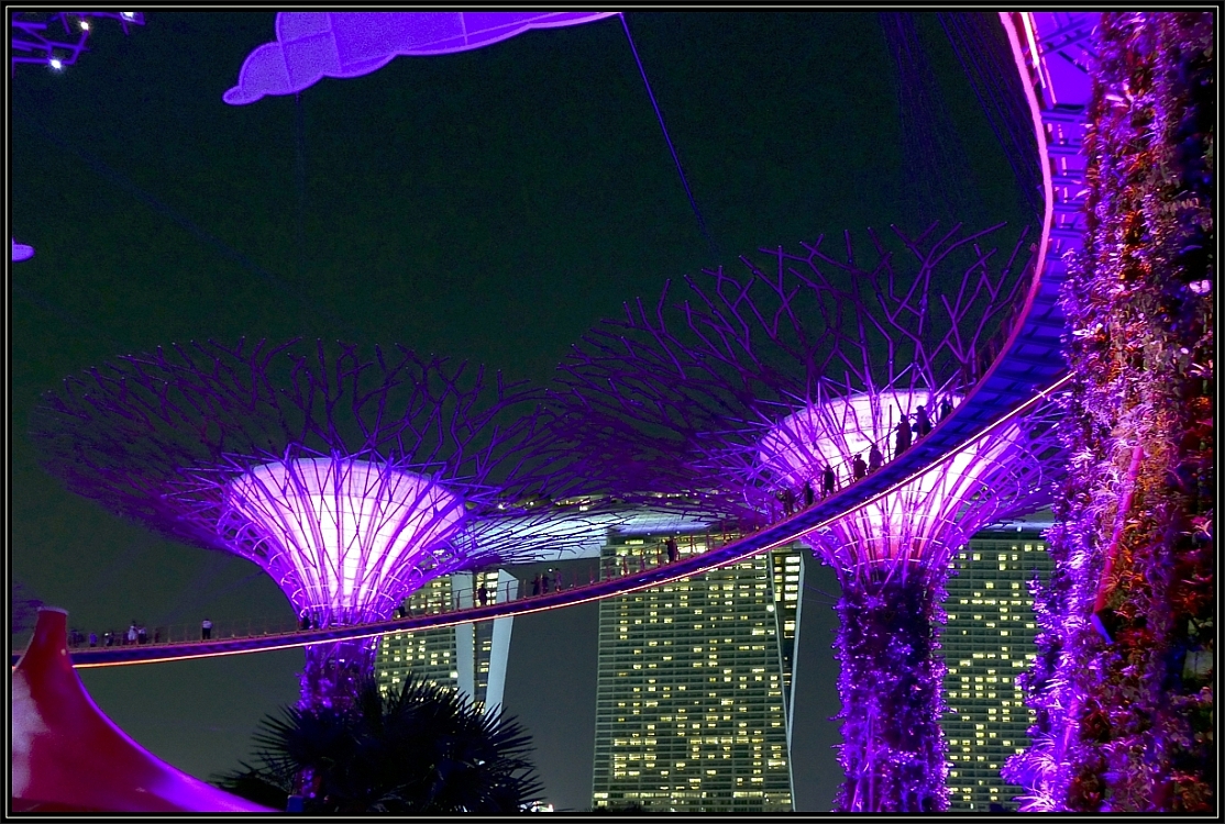 Super Trees
