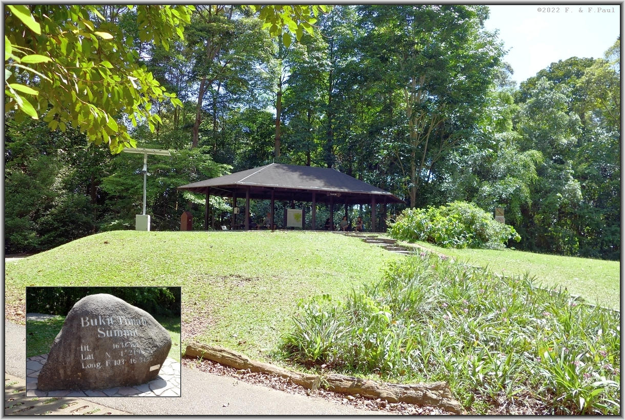 Bukit Timah Summit