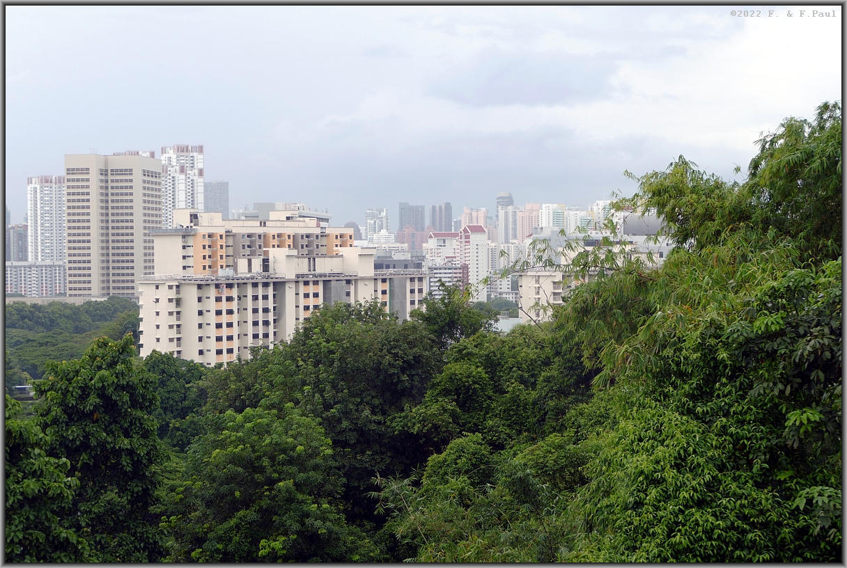 Southern Ridges