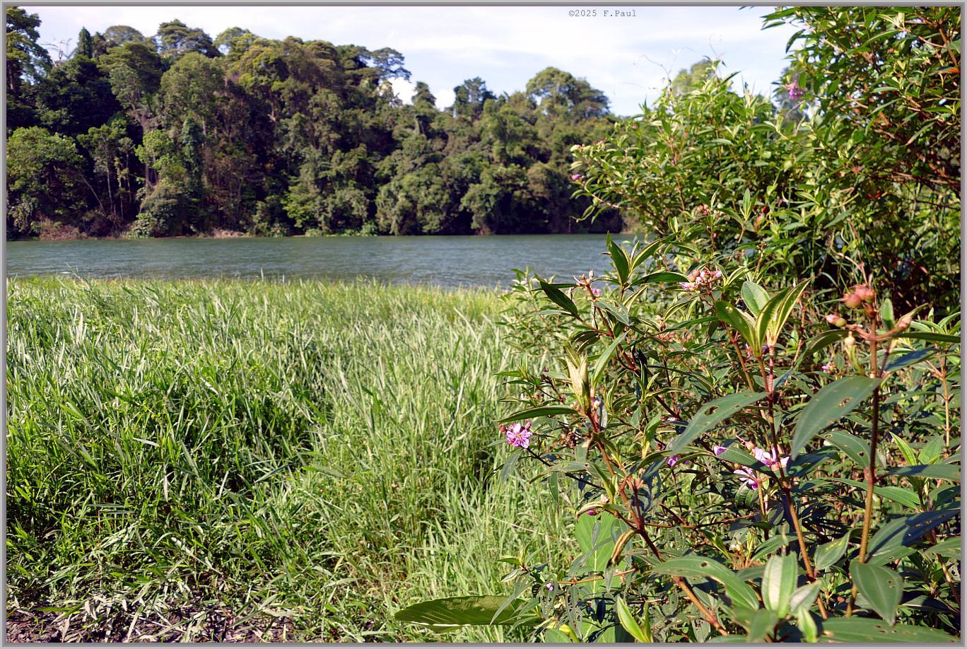 Mac Ritchie Reservoir