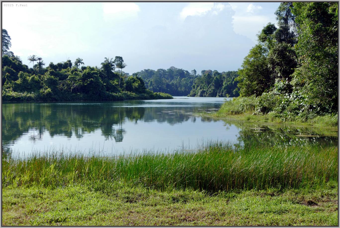Mac Ritchie Reservoir