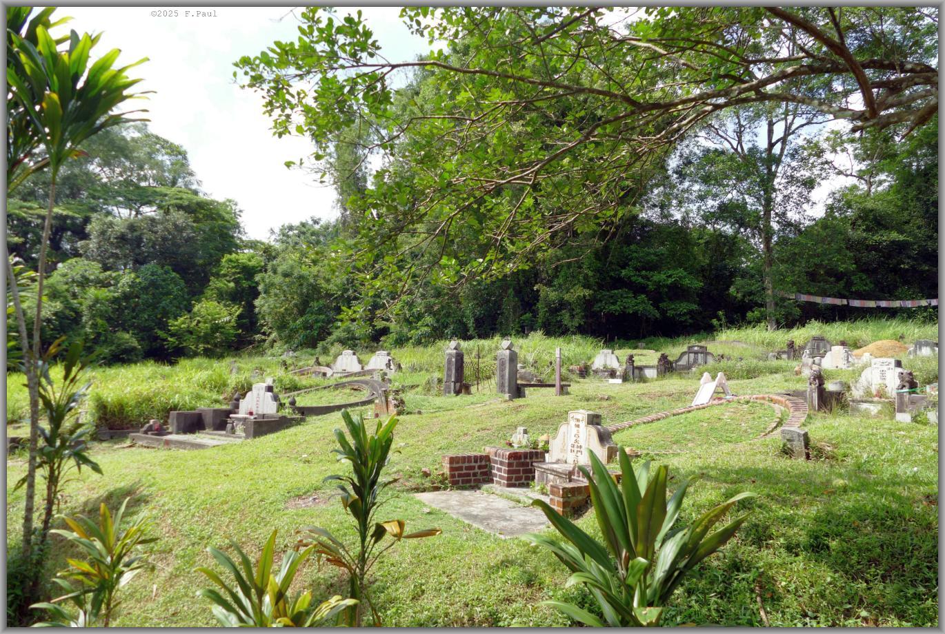 Bukit Brown Cemetery