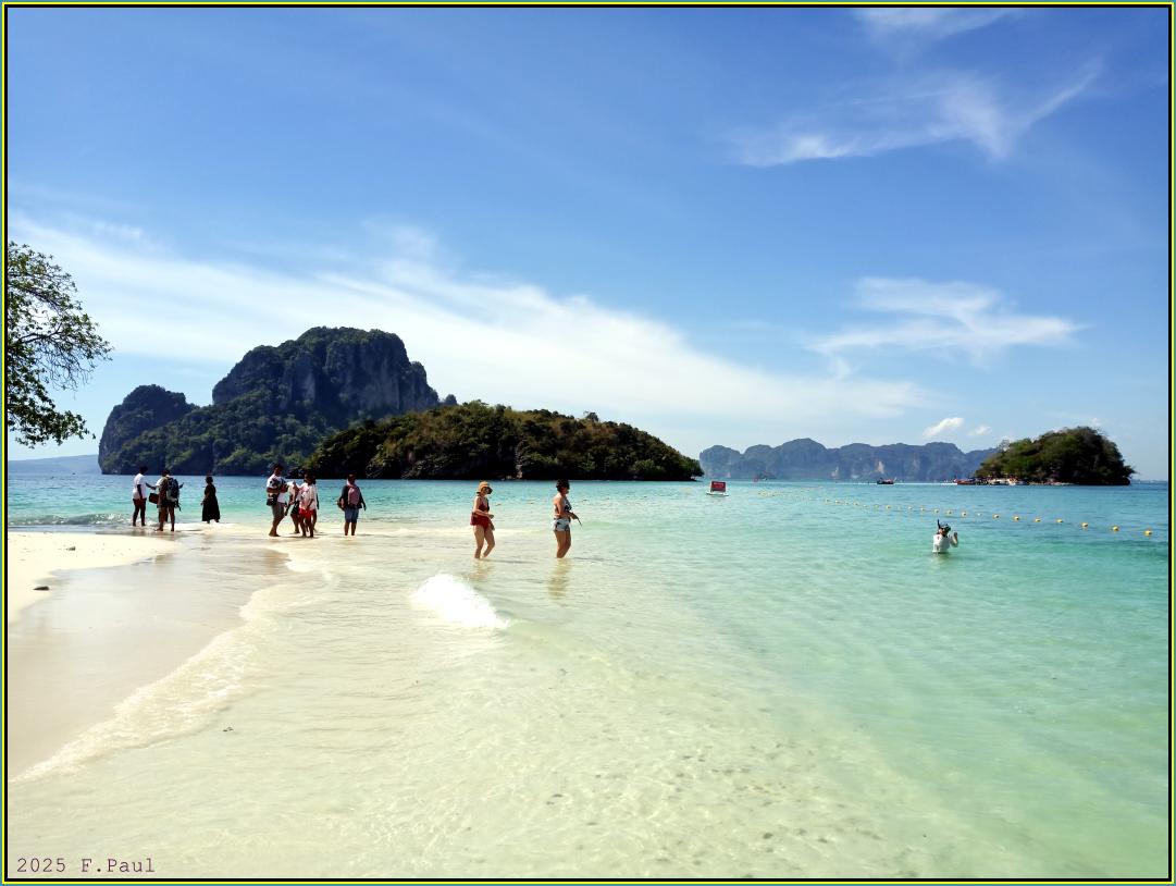 Chicken Island